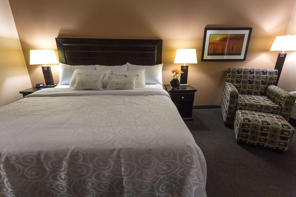 Royal Hotel Edmonton Airport Trademark Collection By Wyndham Leduc Buitenkant foto