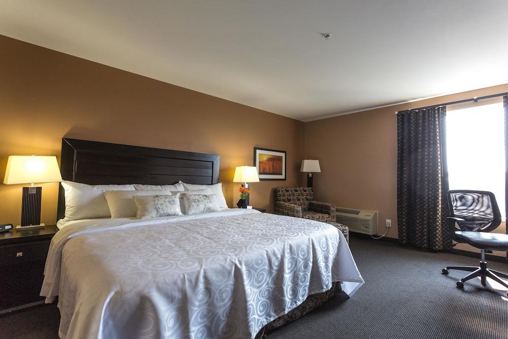 Royal Hotel Edmonton Airport Trademark Collection By Wyndham Leduc Buitenkant foto